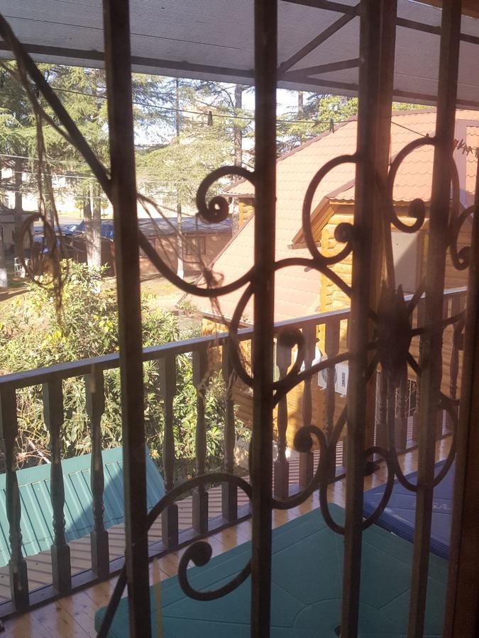 بيزوندا U Iriny Hotel المظهر الخارجي الصورة